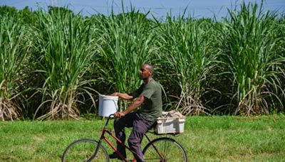 En Cuba, una cooperativa cañera se debate entre apagones y escasez de insumos