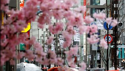 WEF旅遊競爭力報告出爐 日本排第3 大陸擠進前10名