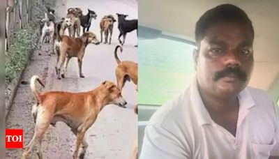 BSP leader arrested for killing 16 stray dogs in Tamil Nadu | Chennai News - Times of India