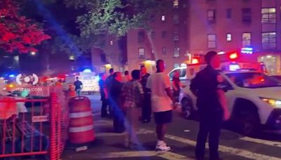 Tres muertos y ocho heridos después que camionero los atropellara en parque de Manhattan