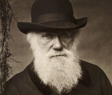El origen de las especies, según Charles Darwin: así se desarrollaron los animales, según el naturalista inglés llamado "el padre de la evolución"