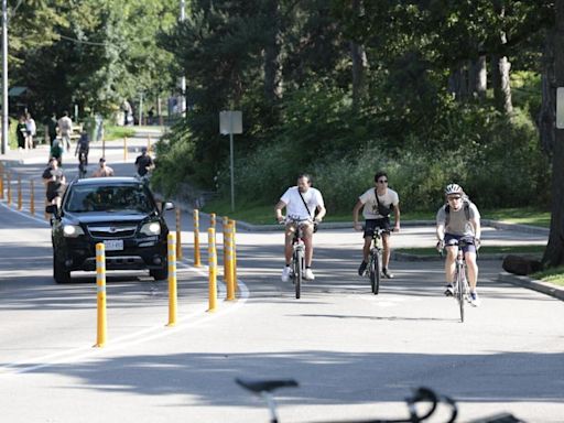 The ban on cars in High Park has left many park users unhappy. A year later, the city is making some changes