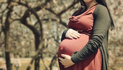 代理孕母物化女性？ 別再用反動詞彙阻擋代孕解禁