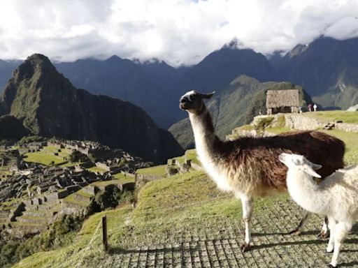 Ministerio de Cultura aumentará aforo en Machu Picchu a partir del 1 de junio: ¿cuántas personas podrán ingresar?