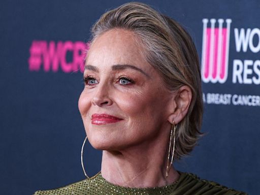 'We're All Trying to Confront Our Demons': Sharon Stone Opens Up About Mental Health in Emotional Interview