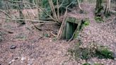 Secret underground wartime bunker in Surrey woodland set to go under the hammer for £165k