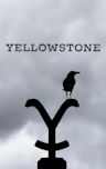 Yellowstone - Season 4