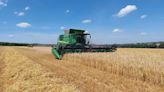 Harvest 24: Hybrid seed barley yields well in a difficult season - Farmers Weekly