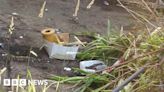 Newbiggin street evacuated as box of grenades found