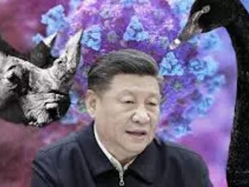 Why did Chinese President Xi Jinping ask to be ready for “black swan” and “gray rhino”? Is Beijing heading toward crisis? - The Economic Times