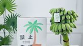「禁止蕉綠」 中國年輕人流行辦公桌種香蕉｜壹蘋新聞網