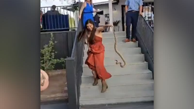 Bride’s sister springs to action when snake interrupts wedding party | CNN