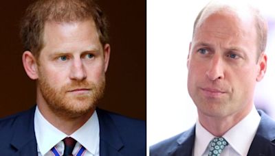 Harry will 'lash out' when William is monarch with major move