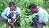 15-feet Python Grabs MP Villager by the Neck, Tries to Swallow Him Alive | Watch Viral Video - News18