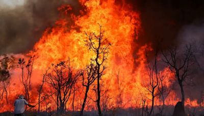 Governo Lula amplia multas para incêndios ilegais em meio a seca histórica | Brasil | O Dia