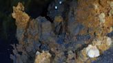 This Arctic Hydrothermal Vent Could Explain How Life Starts—Both Here and in Space