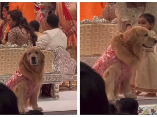 Isha Ambani-Anand Piramal’s daughter Aadiya Shakti's adorable moment with pet dog - Times of India