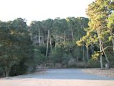 Tilden Regional Park