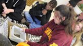 Sheboygan County students may not be learning all they could about Wisconsin's Native peoples