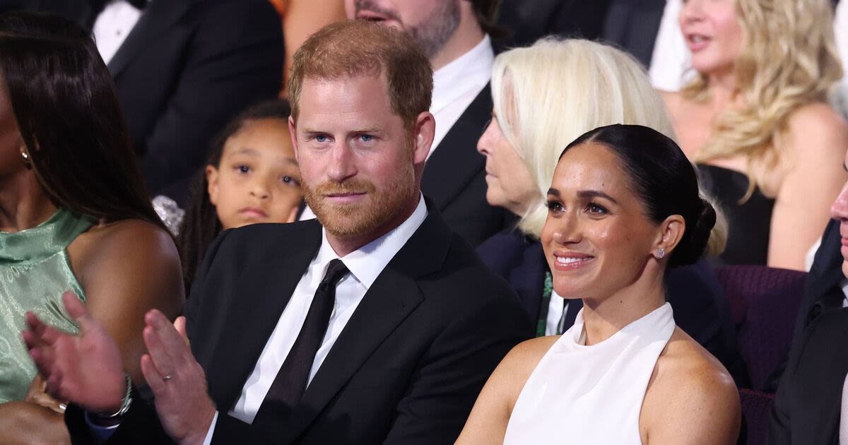 Prince Harry and Meghan slammed with stinging 'enigma' swipe by expert