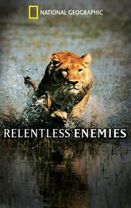 Relentless Enemies