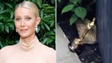 Gwyneth Paltrow Jokes About Using Her Oscar Statuette as a Doorstop: 'It Works Perfectly!'