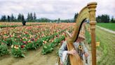 Looking back at 4 decades of the Wooden Shoe Tulip Festival near Woodburn