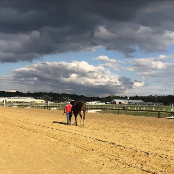 As national attention comes once again to the Preakness, future of Laurel Park is murky