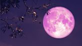 Pink full moon, Lyrid meteor shower peak: What to expect this week