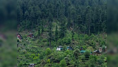 Visit Jibhi, a hidden offbeat gem in Himachal Pradesh, for a serene vacation