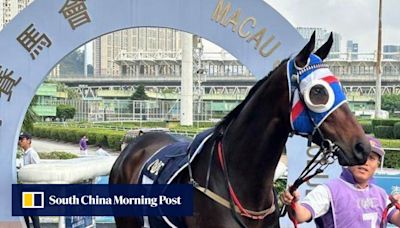 Macau horse owners hoping to race on Down Under in limbo: ‘We need to get him out’