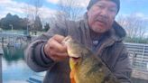 Fisherman catches record yellow perch in Lake Michigan