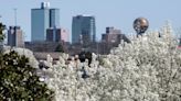 What invasive species are found in Tennessee? Watch out for these plants, insects and animals