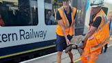 Escaped tortoise 'trespasses' on South Western Railway train tracks 'moving at pace' before hitching ride home