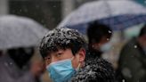 Cold and Contagious: How winter weather helps viruses live longer, travel farther