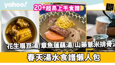 春天湯水食譜│23款簡易養肝健脾去濕春天湯水！花生眉豆木瓜湯、章魚蓮藕湯、山藥粟米薏米排骨湯