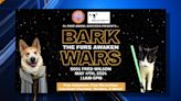 El Paso Animal Services host ‘Star Wars’ event for pets