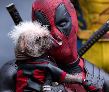 Every Marvel superhero movie, ranked (including new 'Deadpool & Wolverine')