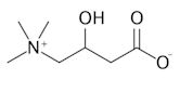 Carnitine