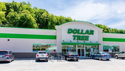 Fui pobre pero aún voy a Dollar Tree: 6 productos de Dollar Tree que este hombre recomienda - El Diario NY