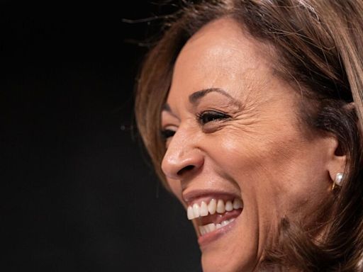 Kamala Harris leaves people baffled by 8-word statement that 'means nothing'