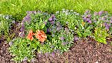 These Are the Pros and Cons of Mulching Your Garden