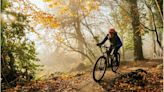 Bristol bike charity seeking help for Ashton Court trail repairs