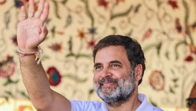 Jammu & Kashmir Assembly Elections: Rahul Gandhi To Address 2 Rallies In J&K Today