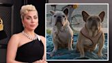 Lady Gaga dog walker shooting suspect recaptured after accidental jail release