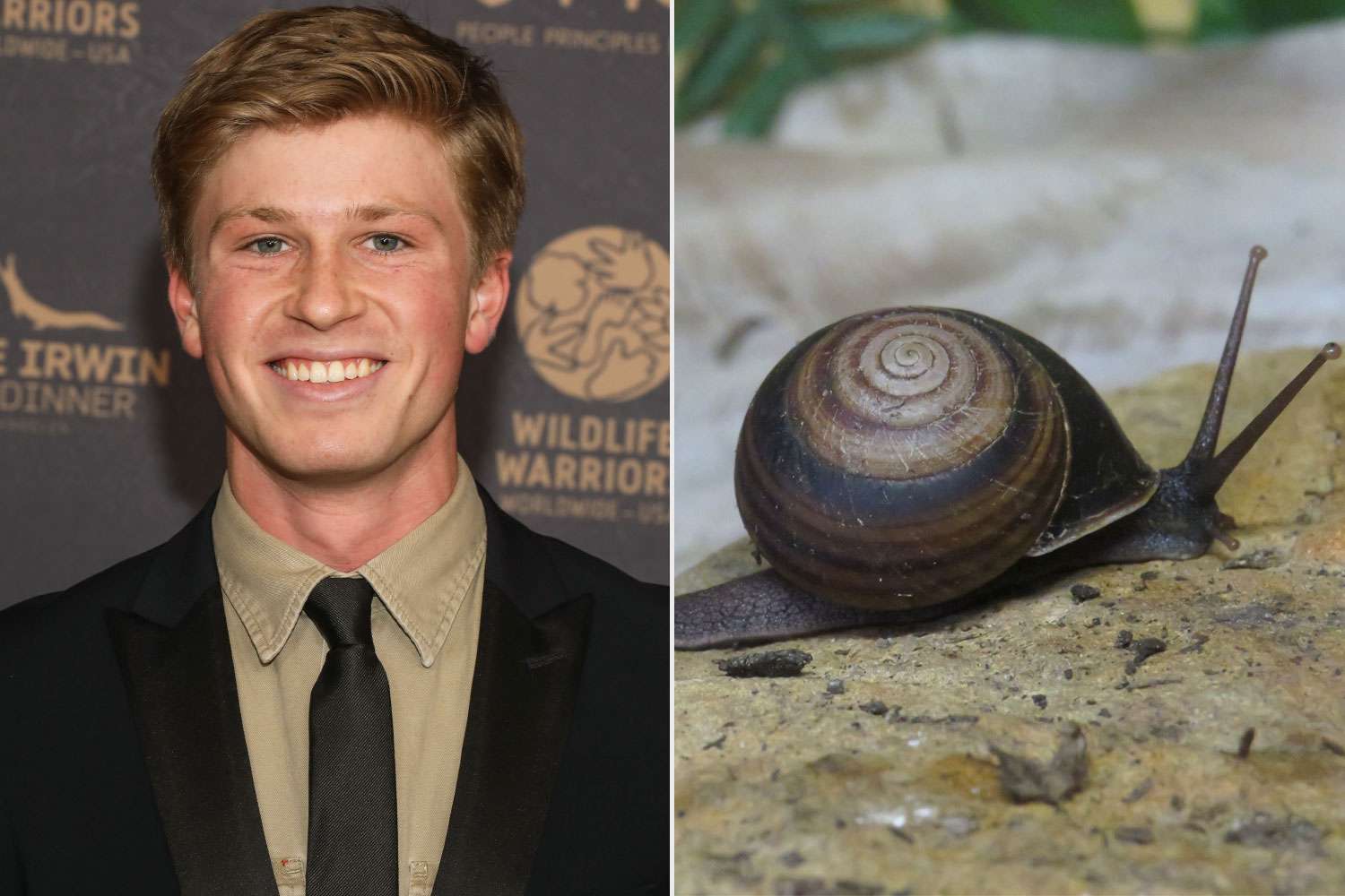 Robert Irwin Is 'Thrilled and Honored' for New Snail Species Discovered in Australia to Be Named After Him