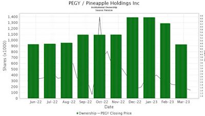 Pineapple Energy (PEGY) Price Target Decreased by 96.00% to 0.10