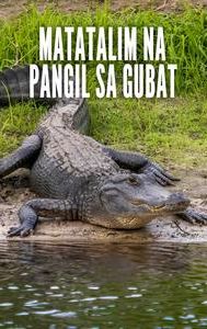 Matatalim na Pangil sa Gubat