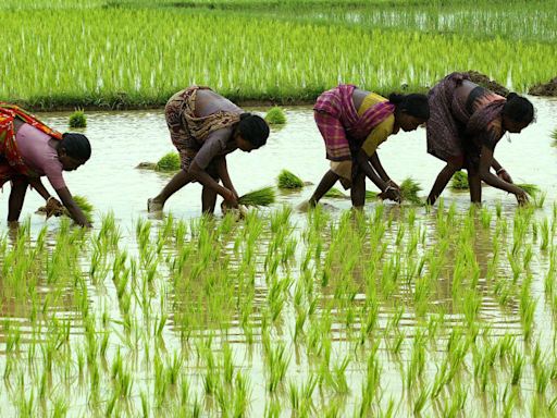 Monsoon anxiety of farmers: Need to prioritise agri-development by ensuring adequate irrigation and drainage