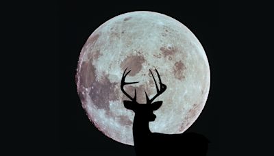 Full Buck Moon shines this weekend on Apollo 11 moon landing anniversary